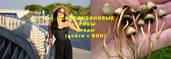 соль ск Гусь-Хрустальный