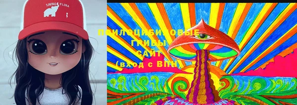 бутират Гусев