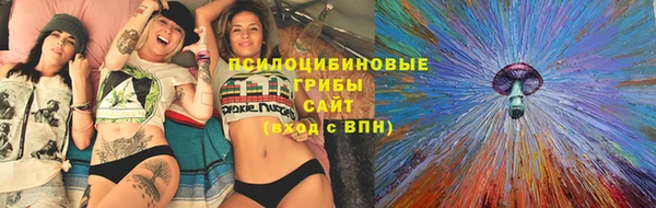 Альфа ПВП Дубна
